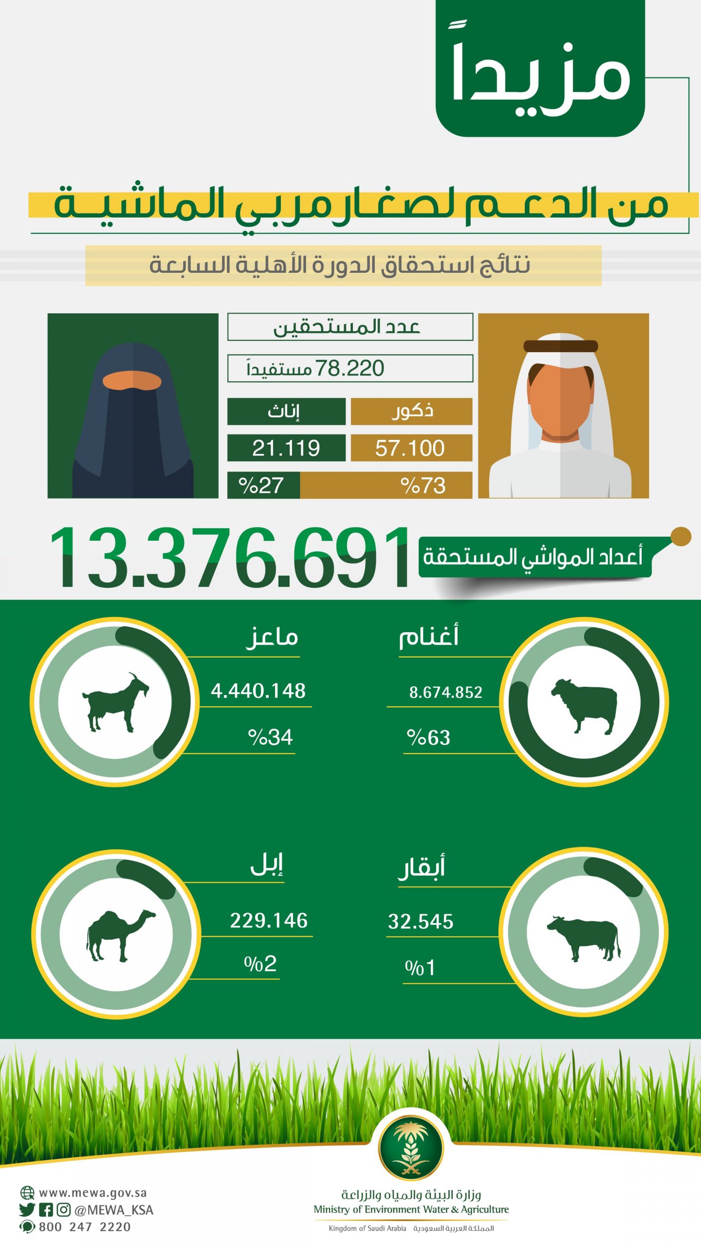 كم مقدار دعم مربي الماشيه