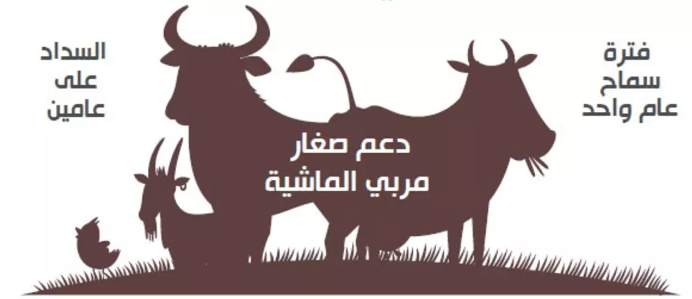 دعم تربية المواشي خطوات تحديث دعم المواشي