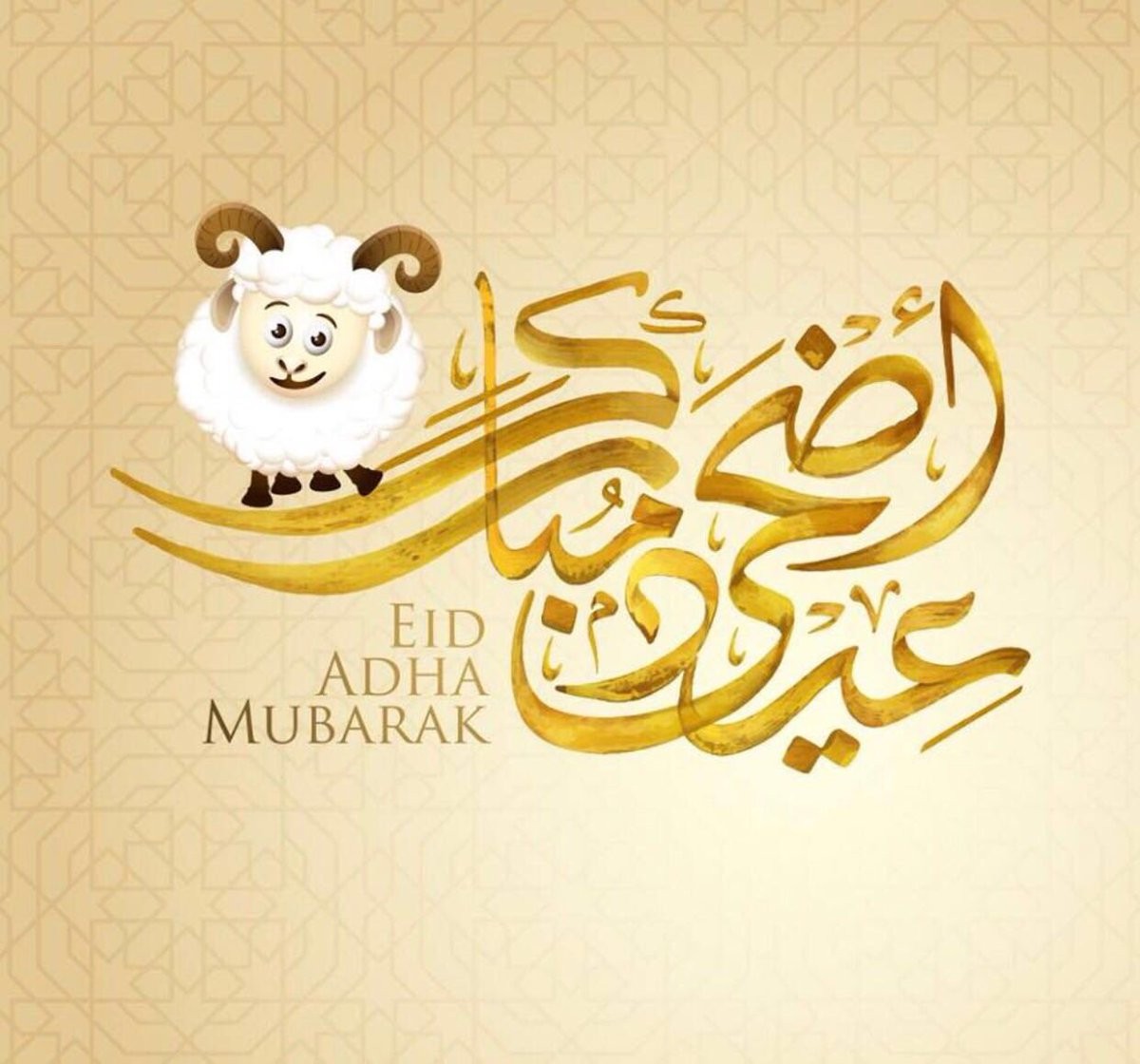 رسائل تهنئة عيد الأضحى المبارك 2021 أقوى مسجات وعبارات للتهنئة بقدوم عيد الأضحى للأهل والأصدقاء