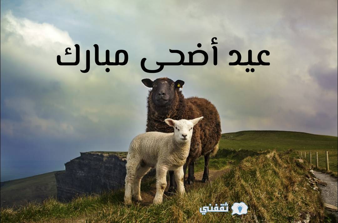 صور تهنئة عيد الأضحى 2021