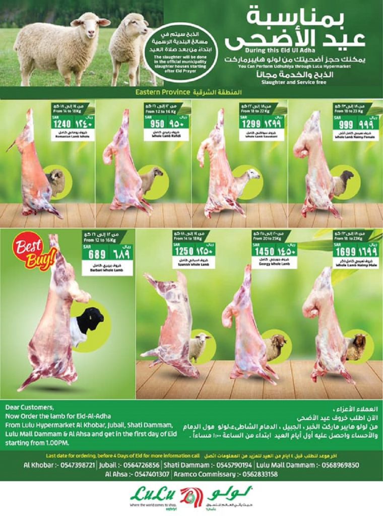 سعر الخروف السواكني