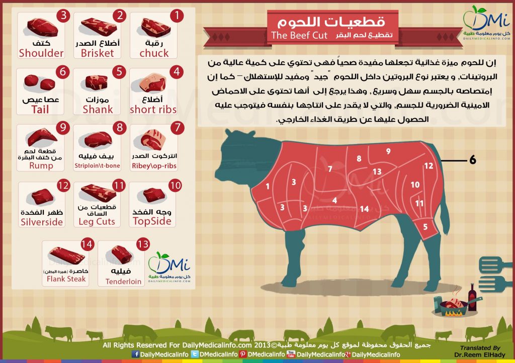 قطعيات اللحوم المختلفة