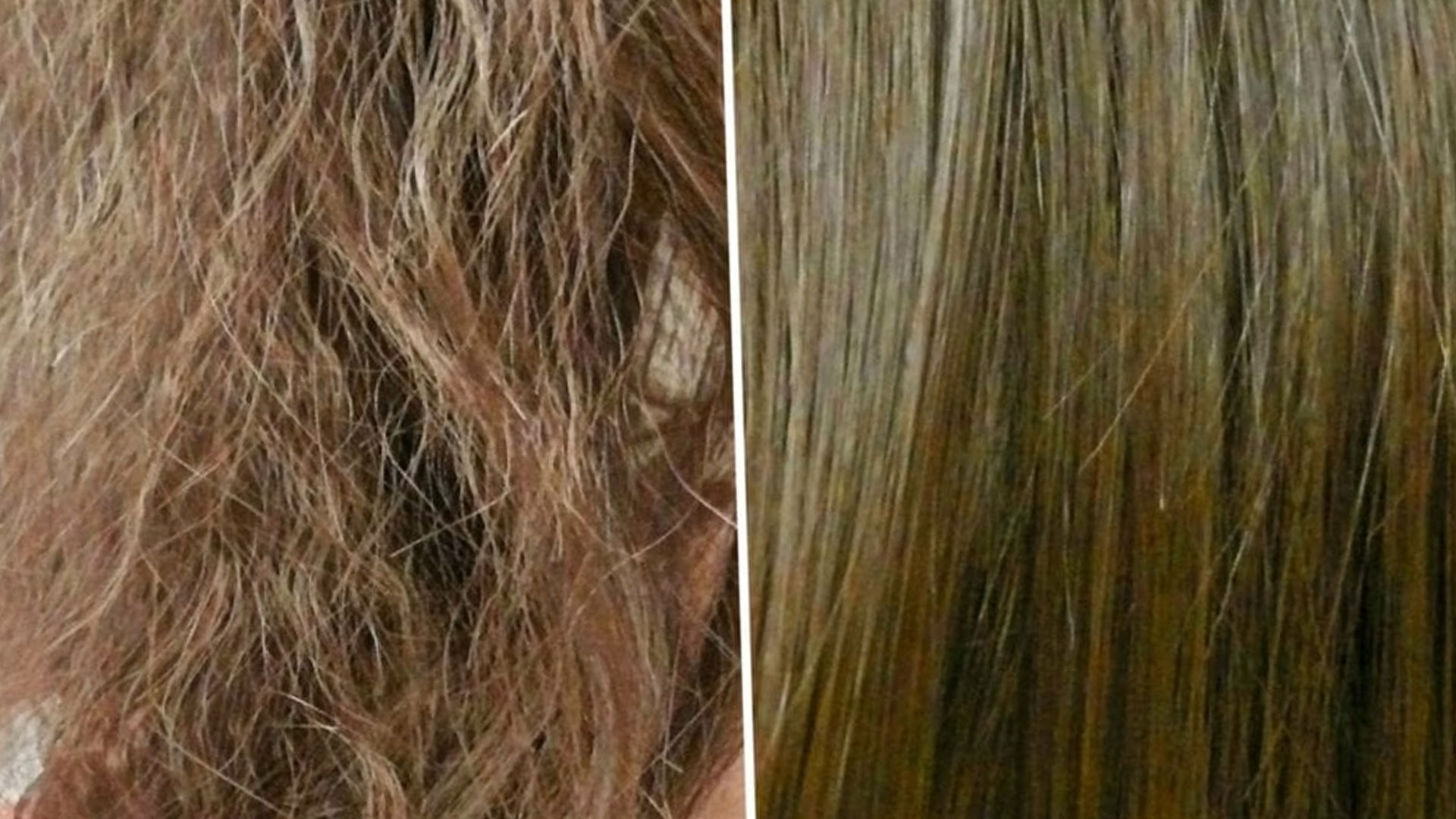 وصفات تكثيف الشعر بشكل طبيعي بزيت الزيتون للحصول على شعر ناعم وصحي