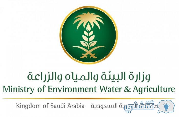 وزارة البيئة والمياه