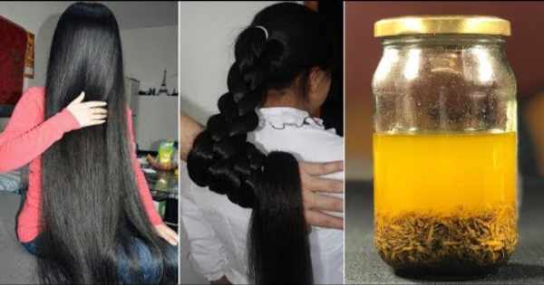 وصفة هندية لتطويل الشعر