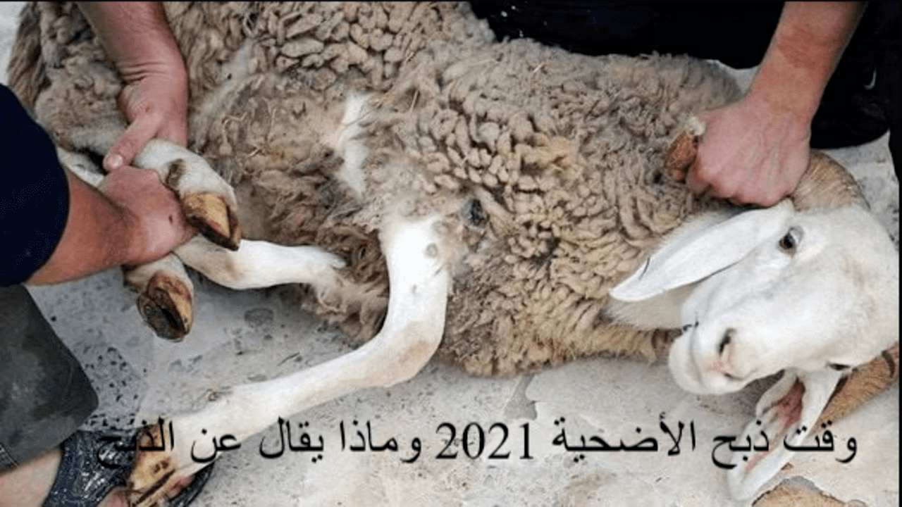 وقت ذبح الأضحية 2021