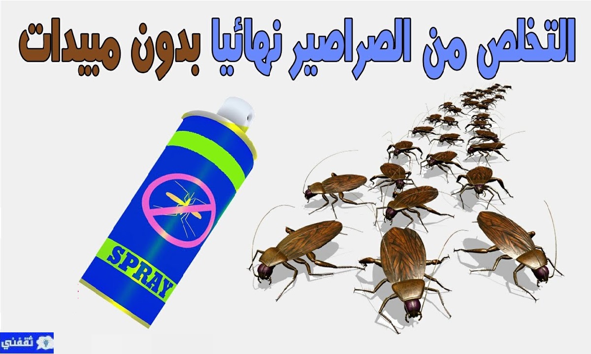 طرد الصراصير نهائياً من المنزل