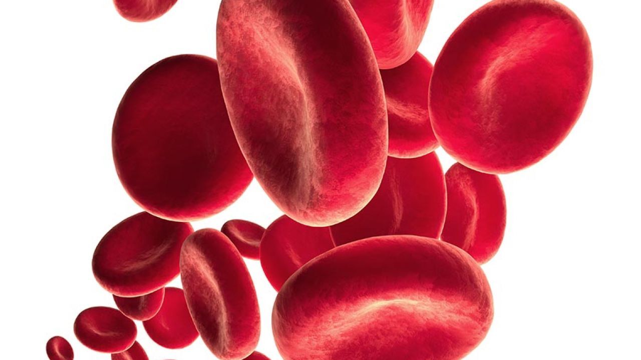 أعراض الأنيميا و علاج فقر الدم بالأعشاب