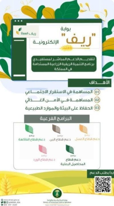 Link رابط التسجيل في مبادرة الريف للدعم النقدي reef.gov.sa وشروط أهلية دعم ريف للأسر المنتجة