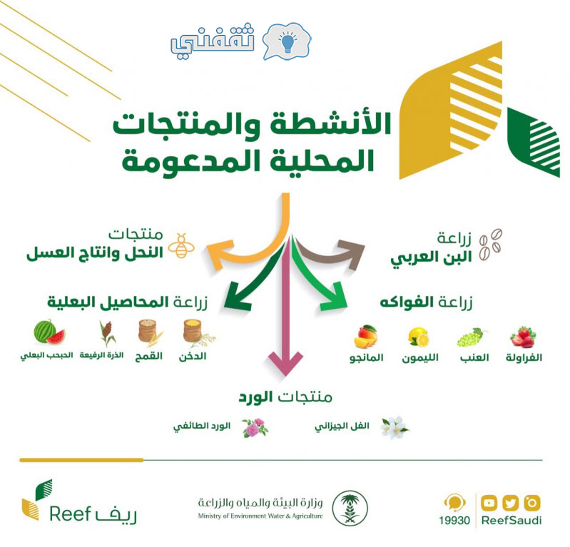 برنامج ريف وشروط ميسرة وتسهيل التسجيل فى ريف للحصول علي دعم مجاني