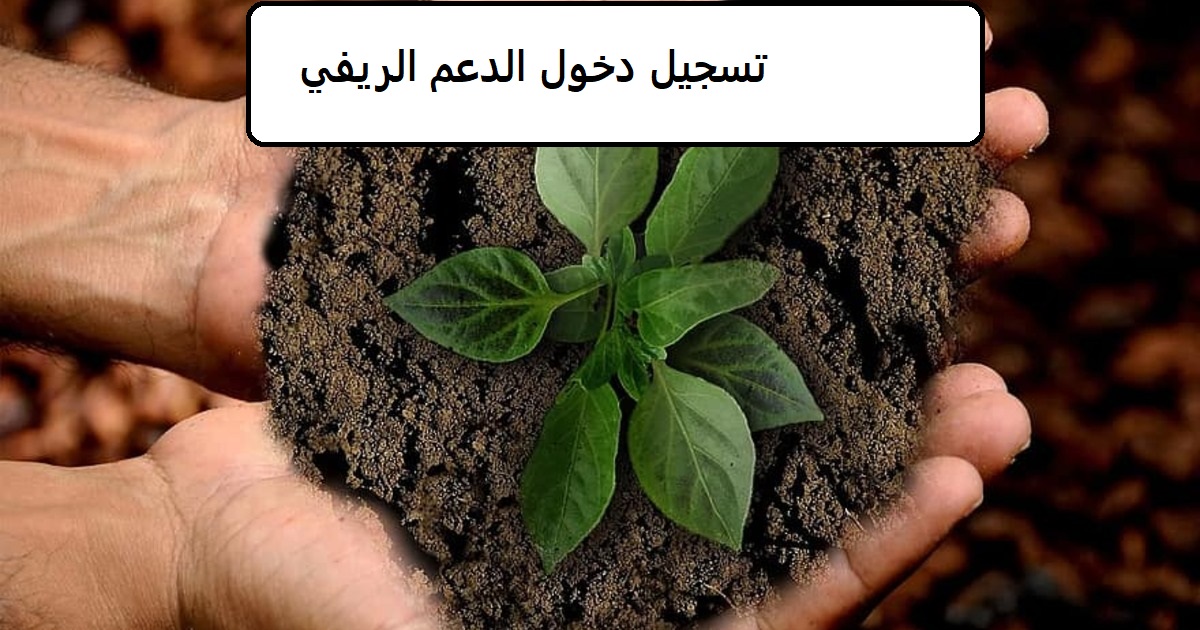 وزارة الزراعة تسجيل دخول