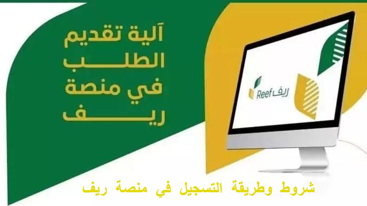 برنامج ريف