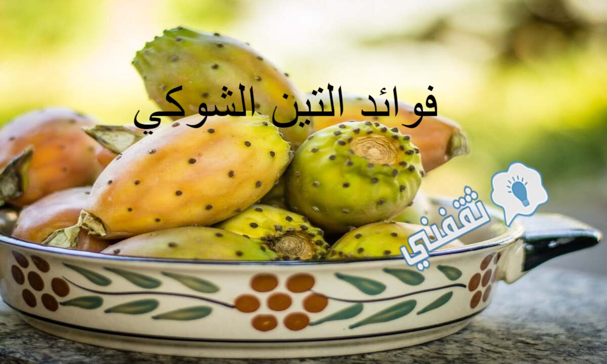 فوائد التين الشوكي