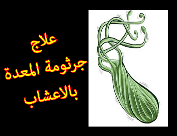 وصفة علاج جرثومة المعدة السحرية بمكونات طبيعية ومتوفرة في كل مكان