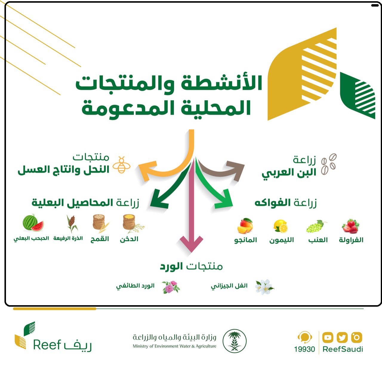 الأنشطة والمنتجات المدعومة في ريف