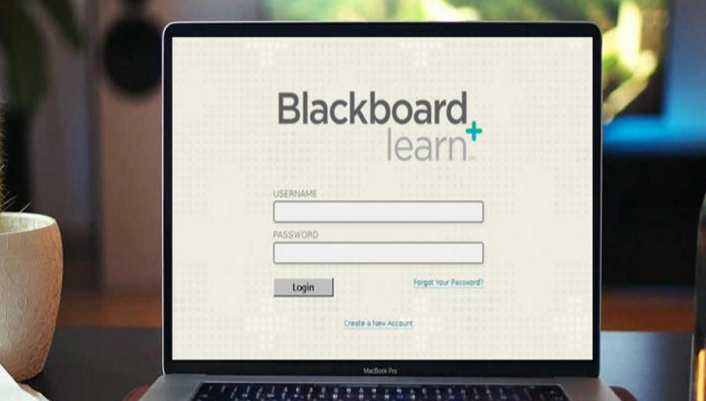 تسجيل دخول بلاك بورد Blackboard الكلية التقنية