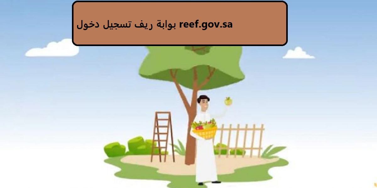 بوابة ريف تسجيل دخول reef.gov.sa