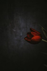 خلفيات للجوال فخمة وراقية