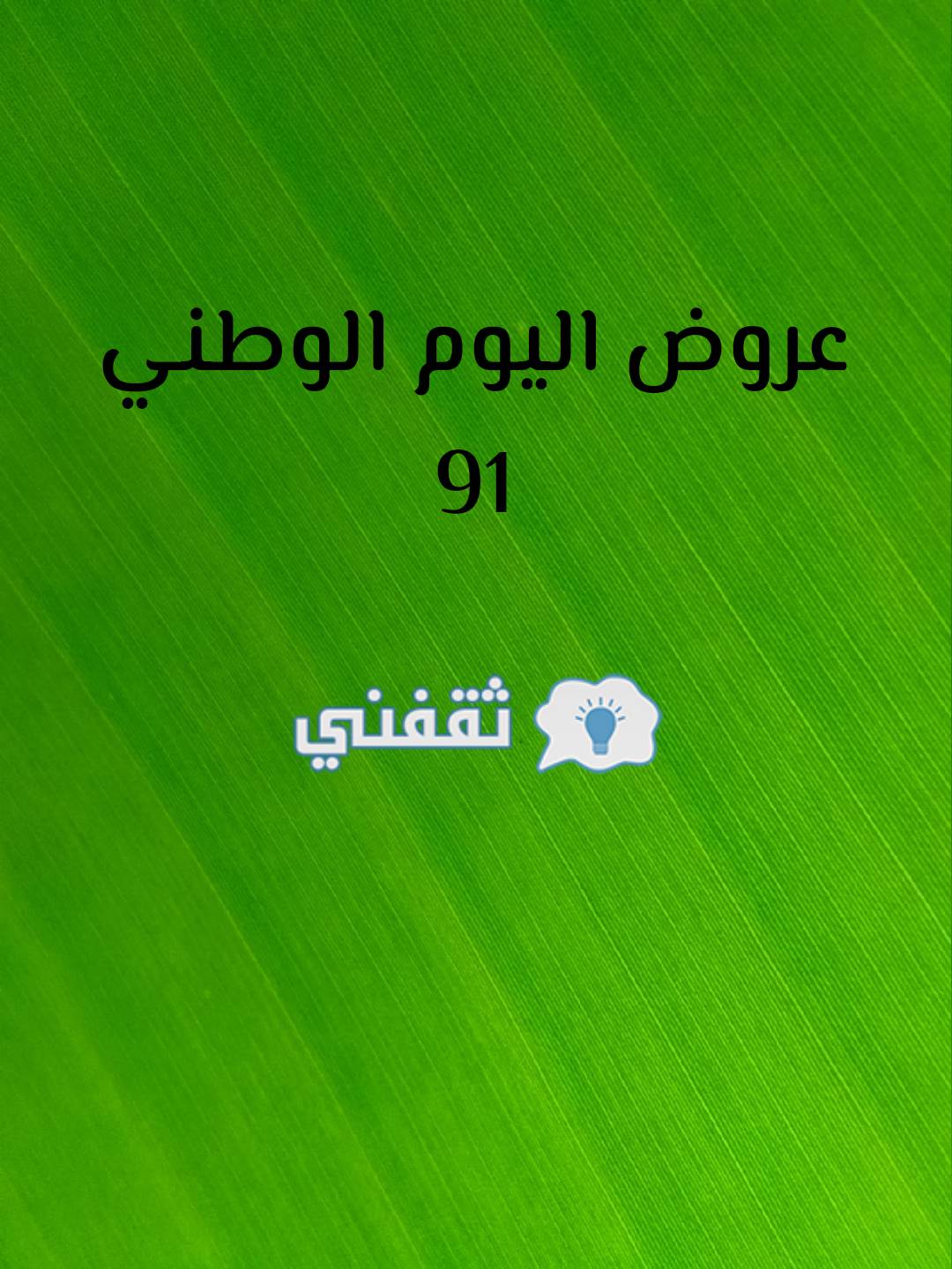 عرض الطيران اليوم الوطني 91