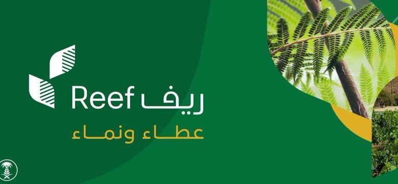 "reef.gov.sa" الاستعلام عن نتائج دعم الريف من خلال رقم الهوية الخاص 1443 هـ