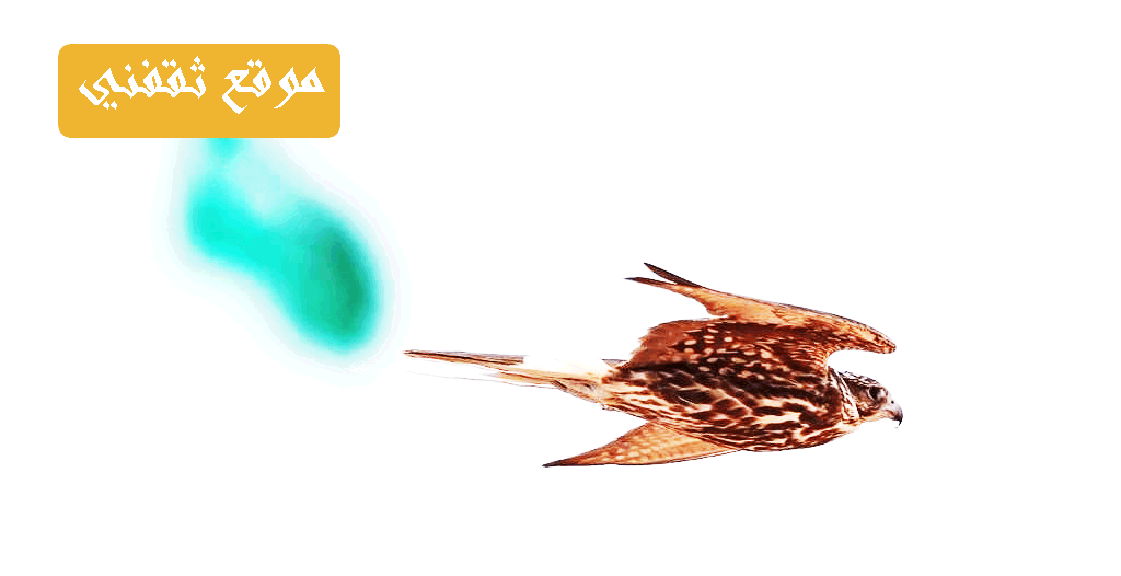 معرض الصقور والصيد السعودي 2021