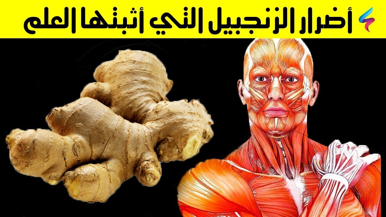 أضرار شرب الزنجبيل