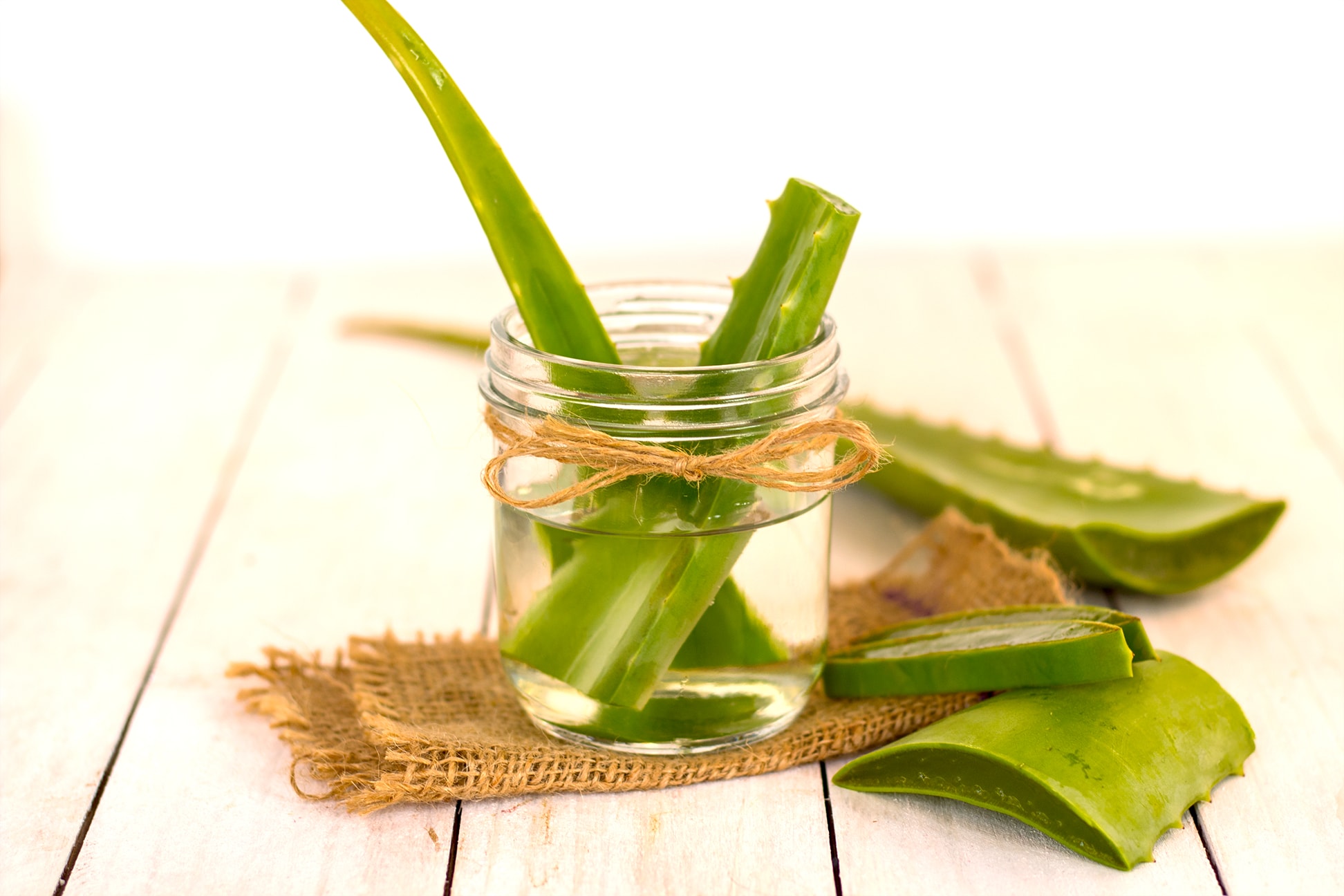 Aloe Vera