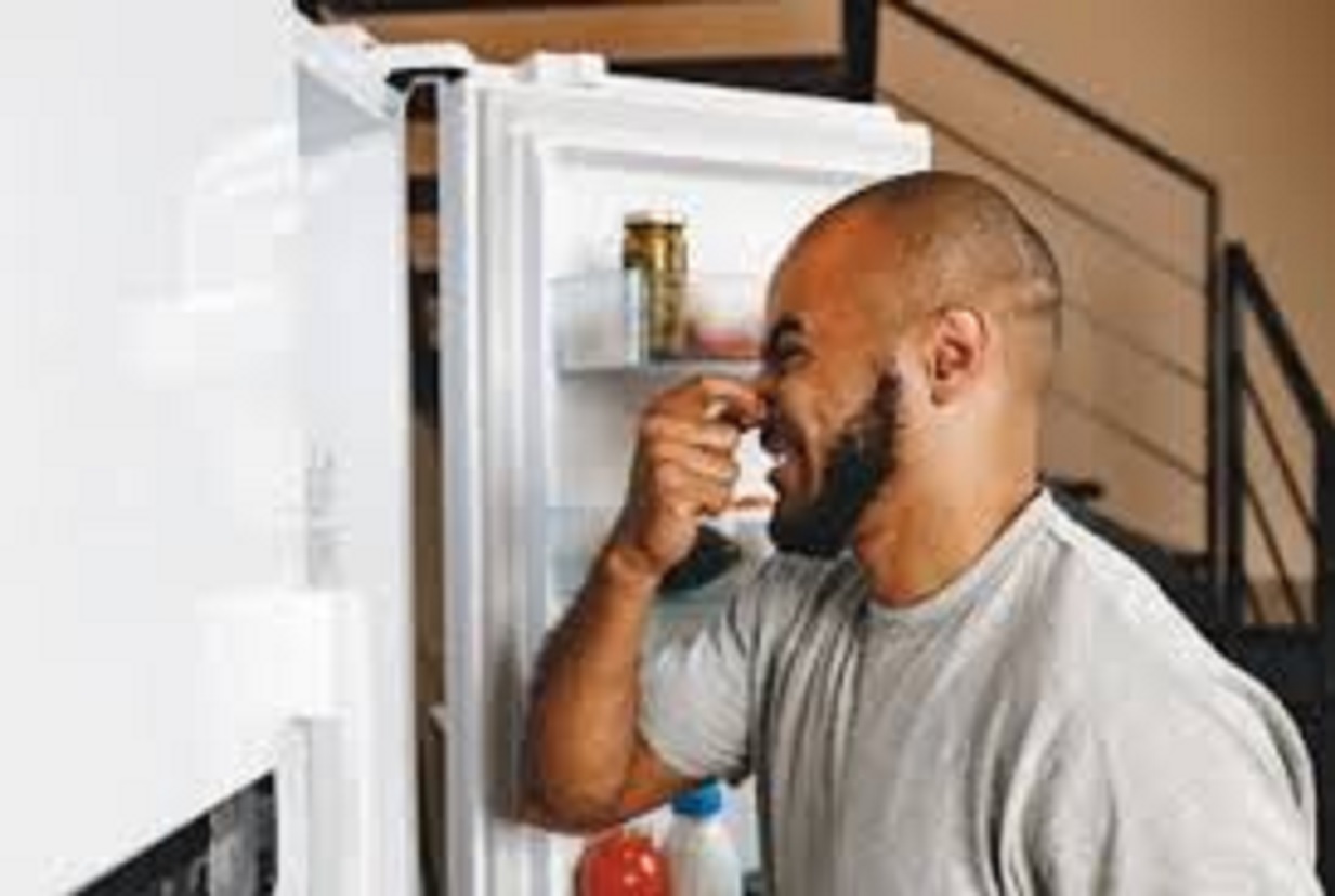 مزيل رائحة الثلاجة