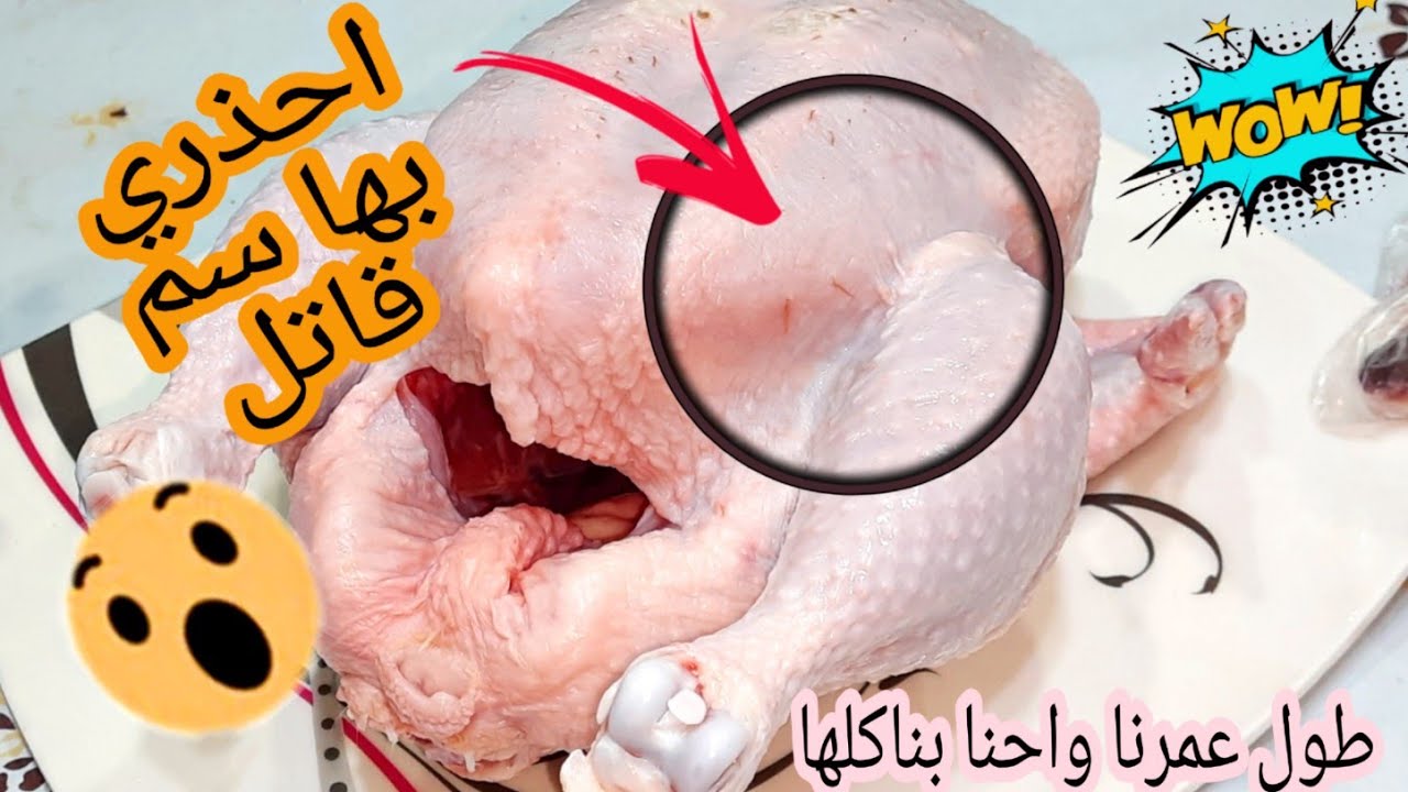 تسبب الوفاة.. احذر 4 أجزاء في الدجاج بها سم قاتل توقف عن تناولها فورا