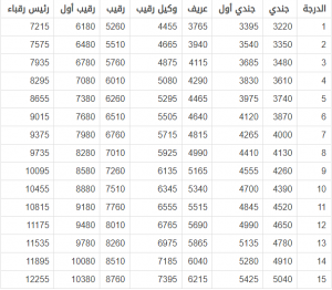 سلم رواتب قوات الأمن الخاصة