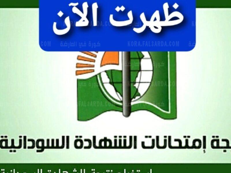 إعلان نتيجة الشهادة الثانوية السودانية