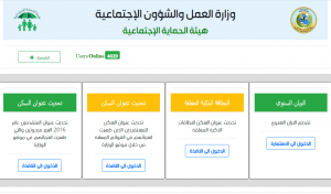 استمارة البيان السنوي للرعاية الاجتماعية