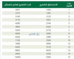 دخول الضمان الاجتماعي المطور 