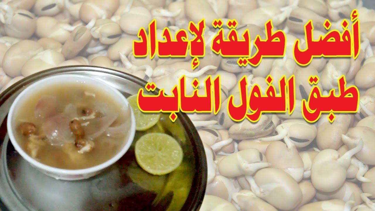 شوربة الفول النابت