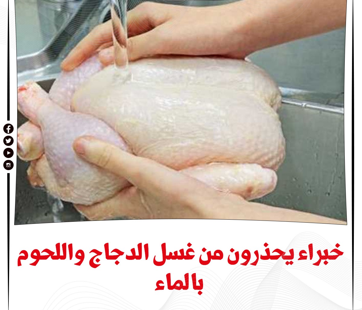 خطورة غسل الدجاج