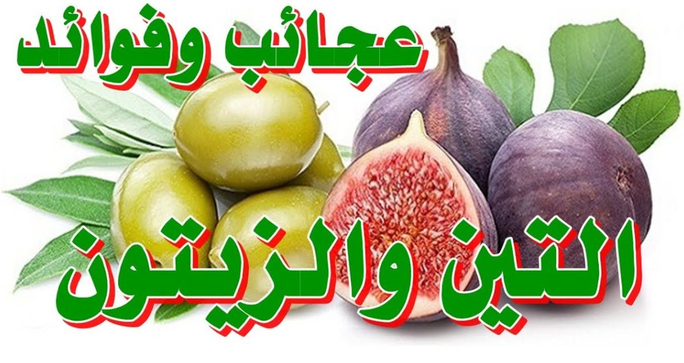 فوائد التين والزيتون