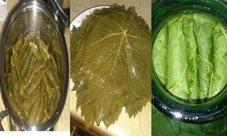 الملعقة السرية لتخزين ورق العنب بدون سلق لأطول فترة ممكنة مع الاحتفاظ باللون الأخضر