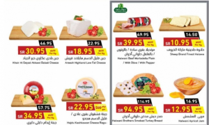 عروض بنده