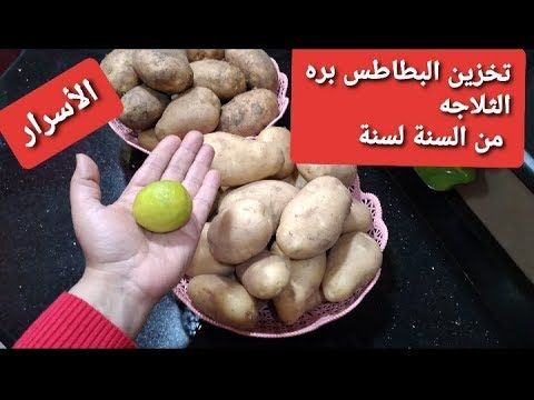 طول عمرنا بنخزن البطاطس غلط.. ملعقة واحدة لتخزين البطاطس لأطول فترة ممكنة من غير ما طعمها يتغير أو يبوظ