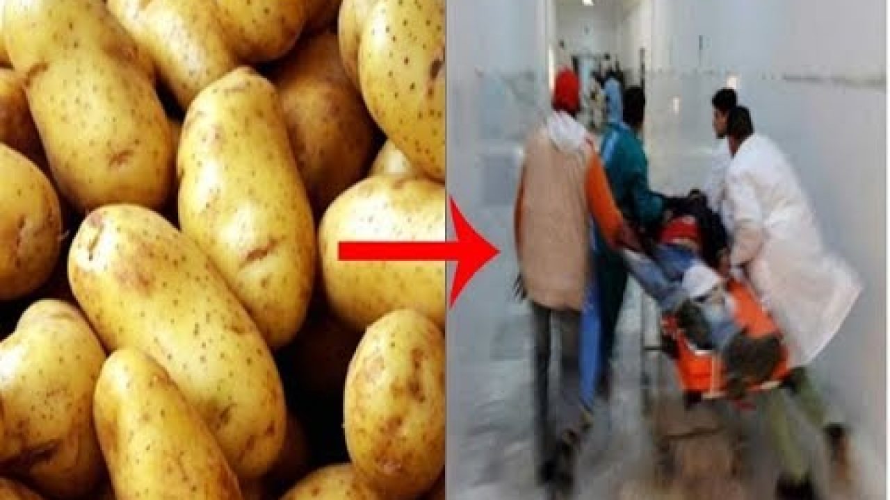 وفاة أسرة بسبب طهي البطاطس بهذه الطريقة الخاطئة تصرف خاطئ تفعله الأمهات