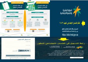 منصة الدعم الضمان الاجتماعي