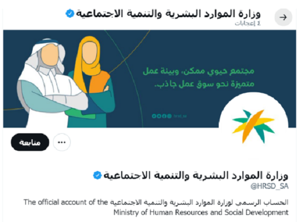 الضمان الاجتماعي المطور