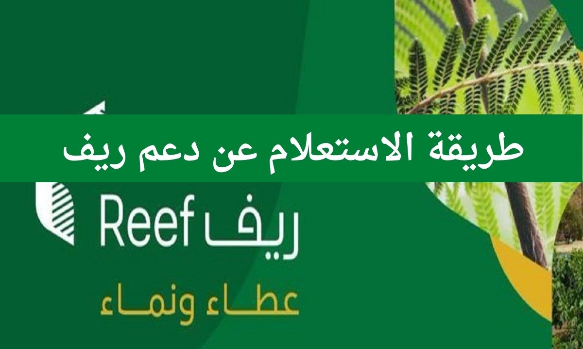 استعلام عن دعم ريف برقم الهوية الوطنية عبر منصة reef.gov.sa