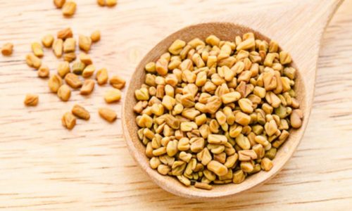 طريقه استعمال الحلبة بدون رائحة
