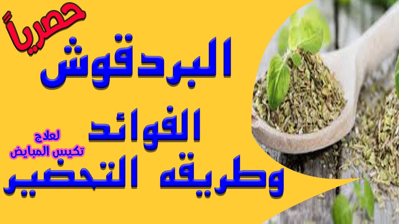 فوائد البردقوش