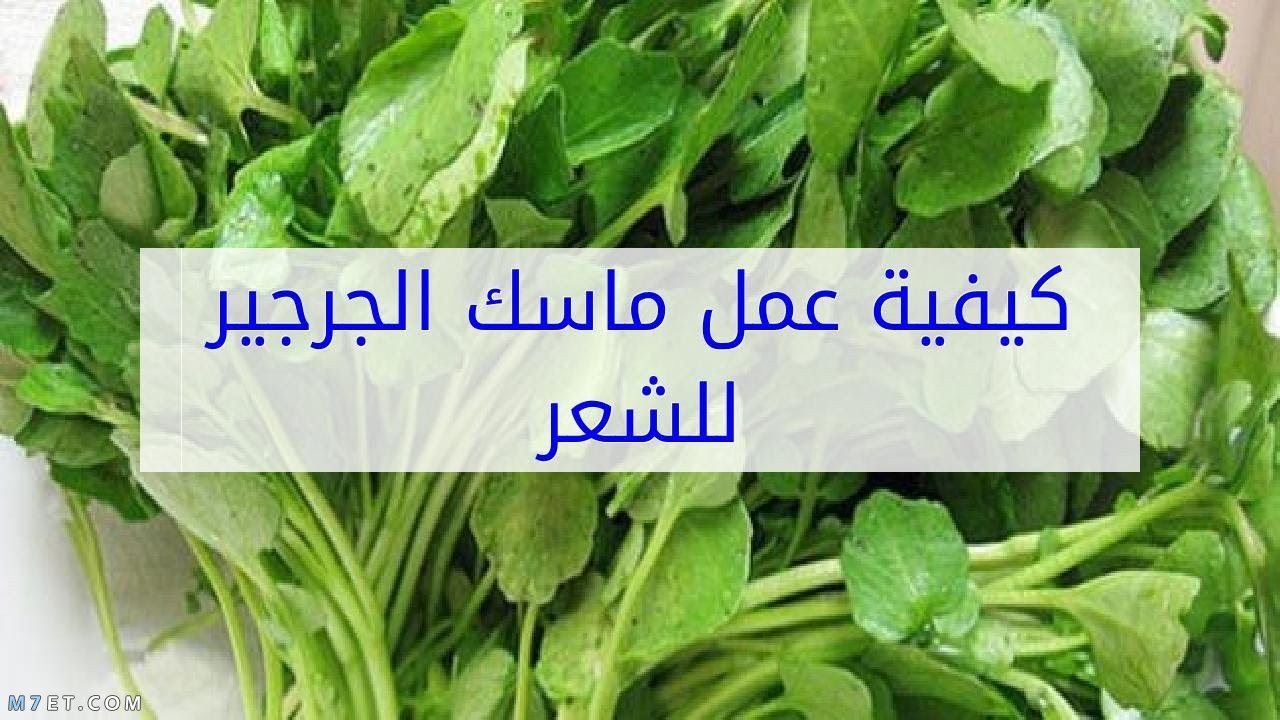 فوائد الجرجير للشعر التالف