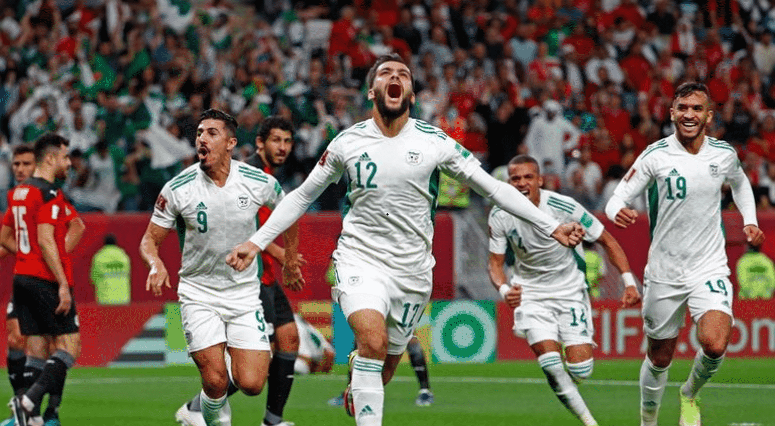 موعد مباراة قطر والجزائر اليوم في نصف نهائي كأس العرب 2021 و القنوات الناقلة