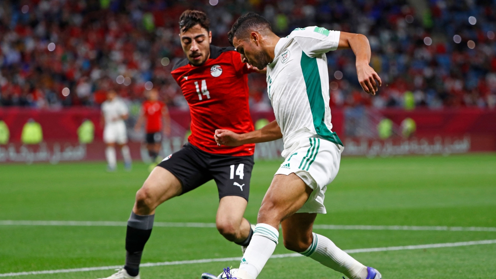 موعد مباراة مصر وقطر فى كاس العرب 2021 والقنوات الناقلة للمباراة والتشكيل المتوقع