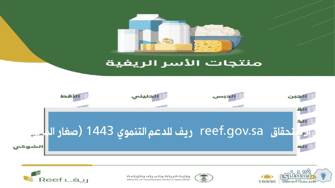 الاستعلام عن الاستحقاق reef.gov.sa ريف للدعم التنموي 1443 (صغار المربيين - المزارعين) الاستعلام عن الاستحقاق reef.gov.sa ريف للدعم التنموي 1443 (صغار المربيين - المزارعين)