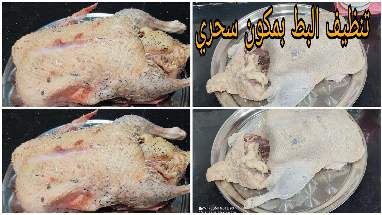 فى ثوانى.. تنظيف البط والفراخ من الريش الصغير